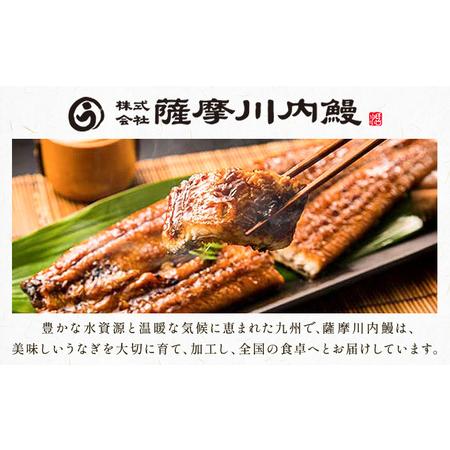 ふるさと納税 【隔月6回定期便】鰻 うなぎ 蒲焼き 3尾 (1尾約140g) タレ 山椒 付き 株式会社薩摩川内鰻《お申込みの翌月から出荷》鹿児島県 .. 鹿児島県さつま町_2