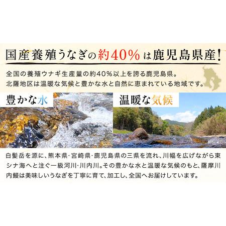 ふるさと納税 【隔月6回定期便】鰻 うなぎ 蒲焼き 3尾 (1尾約140g) タレ 山椒 付き 株式会社薩摩川内鰻《お申込みの翌月から出荷》鹿児島県 .. 鹿児島県さつま町_3
