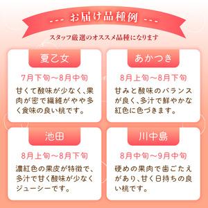 ふるさと納税 ≪先行受付≫ froSchがお届けするおまかせ白桃 約2kg 【2026年7月下旬より順次発送予定】 060-001 山形県大江町の画像