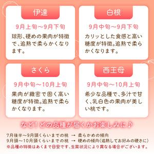 ふるさと納税 ≪先行受付≫ froSchがお届けするおまかせ白桃 約2kg 【2026年7月下旬より順次発送予定】 060-001 山形県大江町の画像