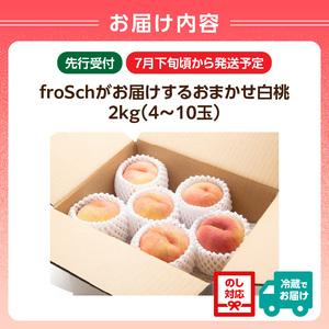ふるさと納税 ≪先行受付≫ froSchがお届けするおまかせ白桃 約2kg 【2026年7月下旬より順次発送予定】 060-001 山形県大江町の画像