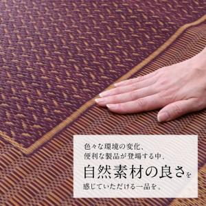 ふるさと納税 熊本県八代市産のい草を使って織り上げたラグ『DXランクス』(サイズ：140cm×200cm)(カラー：ワイン) 国産 イグサ 茣蓙 ござ .. 熊本県八代市_1