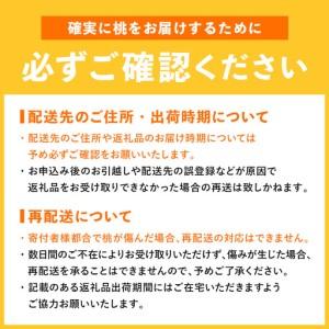 ふるさと納税 【2026年出荷分先行予約】福島県産 あかつき 約3kg (9〜12玉) 森果樹園 自然豊かな月舘で育った桃 伊達の桃 桃 フルーツ 果物 もも.. 福島県伊達市_3