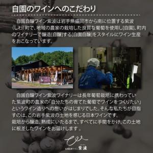 ふるさと納税 ワイン 辛口 ワイン ３本セット(メルロー・メルローロゼ・リースリングリオン) AL085 【26/6限定】 岩手県紫波町_4