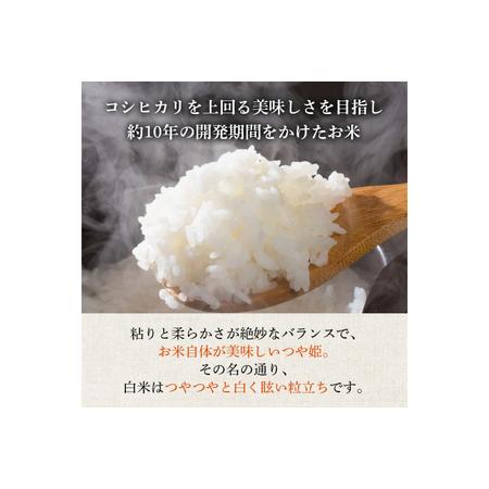 ふるさと納税 米 令和7年産 つや姫 5kg 特別栽培米 精米 [農家の蔵出し米生産組合 山形県 高畠町 tk06ays900022] 山形県高畠町_1
