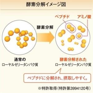 ふるさと納税 酵素分解ローヤルゼリー王乳の華とプロポリス300 (21364)【1111705】 岡山県津山市_2