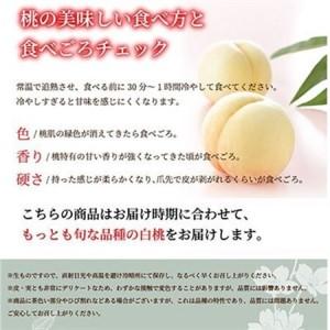 ふるさと納税 【先行受付】岡山白桃 ロイヤル 4〜6玉 1kg 岡山県産【配送不可地域：離島・北海道・沖縄県】【1301630】 岡山県津山市の画像