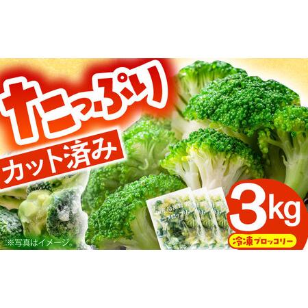 ふるさと納税 冷凍ブロッコリー 3kg 池田海陸物産 [SEW007
