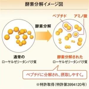 ふるさと納税 【毎月定期便】酵素分解ローヤルゼリー CoQ10(5935)全3回【4008982】 岡山県津山市の画像