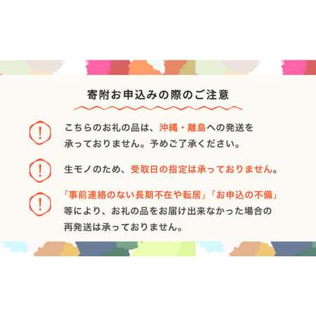 ふるさと納税 【先行予約】もも 桃 川中島 約2kg ○秀以上 令和8年産 2026年産 果物 ja-moknx2-b ※沖縄・離島への配送不可 山形県村山市の画像