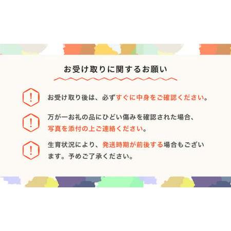 ふるさと納税 【先行予約】もも 桃 川中島 約2kg ○秀以上 令和8年産 2026年産 果物 ja-moknx2-b ※沖縄・離島への配送不可 山形県村山市の画像