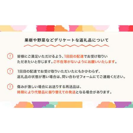 ふるさと納税 【先行予約】もも 桃 川中島 約2kg ○秀以上 令和8年産 2026年産 果物 ja-moknx2-b ※沖縄・離島への配送不可 山形県村山市の画像