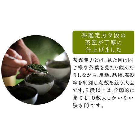 ふるさと納税 宮崎日本茶専門店 特撰水出し茶ティーバッグ（5g×20p/1袋）計10袋 お茶 緑茶 ギフト お取り寄せ【E227-2509】 宮崎県新富町の画像