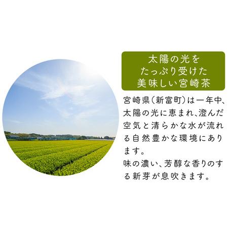 ふるさと納税 宮崎日本茶専門店 特撰水出し茶ティーバッグ（5g×20p/1袋）計10袋 お茶 緑茶 ギフト お取り寄せ【E227-2509】 宮崎県新富町の画像