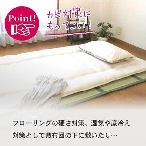 ふるさと納税 【国産】畳 マットレス【ダブル／赤銅色】約140×200糎 奥ふかさ:約1.3糎（最厚部）置き畳 社会的単位畳 4つ折れ 脂製 菌類打つ手 .. 岡山県岡山市