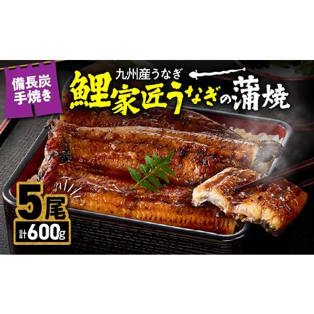 ふるさと納税 [ 土用の丑の日特集 ] 2900 九州産 卵うなぎ 備長炭手焼 うなぎ の 蒲焼 5尾 計600g KN029-005-04 魚 鰻 鹿児島県鹿屋市