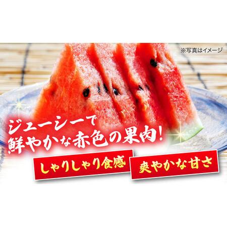 ふるさと納税 【先行予約】【6月上旬から順次発送】 スイカ ふるさと納税 【先行予約】【6月上旬から順次発送】 スイカ