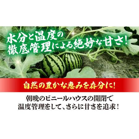 ふるさと納税 【先行予約】【6月上旬から順次発送】 スイカ ふるさと納税 【先行予約】【6月上旬から順次発送】 スイカ