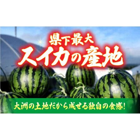 ふるさと納税 【先行予約】【6月上旬から順次発送】 スイカ ふるさと納税 【先行予約】【6月上旬から順次発送】 スイカ