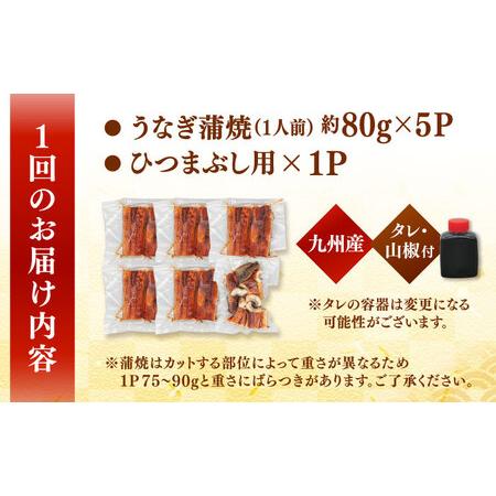 ふるさと納税 【全6回定期便】 うなぎの蒲焼 約80g×5Pとひつまぶしの贅沢セット 桂川町/山水商事 [ADAH027] 鰻 うなぎ 定期便 小分け 福岡県桂川町_4