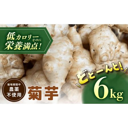 ふるさと納税 [栽培期間中農薬不使用] 菊芋 6kg 野菜 キクイモ いも 多治見市 / 諏訪農林[TDO007] 岐阜県多治見市