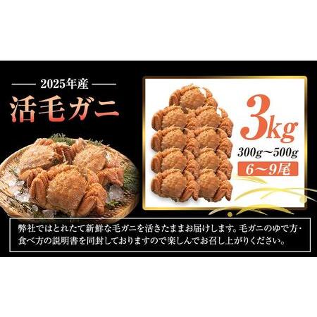ふるさと納税 2025年産　活毛ガニ　３kg　300g〜500g　６〜９尾 北海道羅臼町
