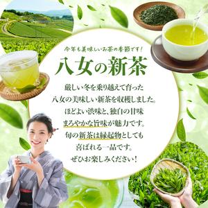 ふるさと納税 【2026年新茶】八女茶 極上煎茶 100g×5袋 茶 お茶 新茶 八女茶 煎茶 緑茶 極上 福岡県 八女市 068-022 福岡県八女市の画像