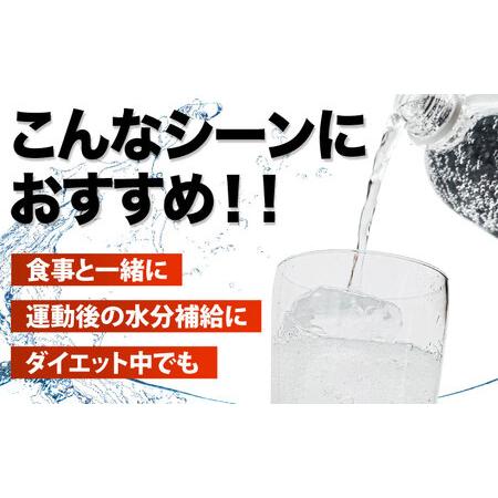 ふるさと納税 【全9回定期便】龍馬POWER SODA 500ml×24本 計216本 炭酸水 炭酸飲料 [ARER009] 大分県日田市_2