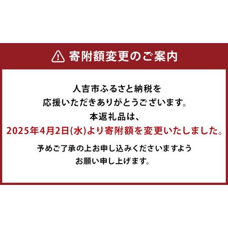 ふるさと納税 訳あり 原木栽培椎茸 業務用 椎茸 500g シイタケ しいたけ 乾燥椎茸 野菜 きのこ キノコ 熊本県人吉市_1