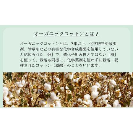 ふるさと納税 （今治タオルブランド認定）メイドインアースの純タオル［バスタオル２枚］と「からみ織り フリンジボディタオル２枚」、オリーブ.. 愛媛県今治市_2