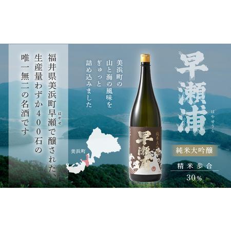 ふるさと納税 早瀬浦 限定品【数量限定】冷温熟成 早瀬浦 純米大吟醸 1800ml（熟成酒）【入手困難 日本酒 福井 おすすめ 地酒 美浜 早瀬 フルー.. 福井県美浜町の画像