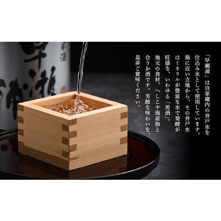 ふるさと納税 早瀬浦 限定品【数量限定】冷温熟成 早瀬浦 純米大吟醸 1800ml（熟成酒）【入手困難 日本酒 福井 おすすめ 地酒 美浜 早瀬 フルー.. 福井県美浜町の画像