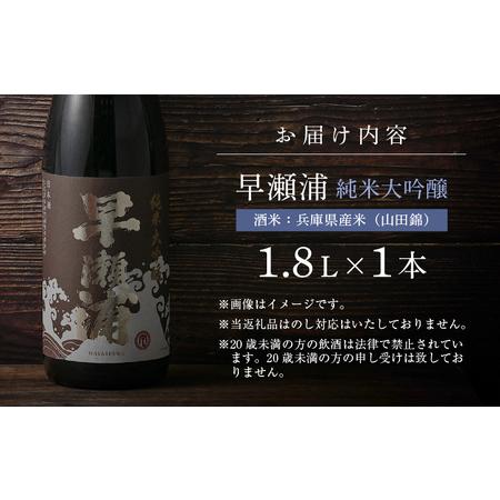 ふるさと納税 早瀬浦 限定品【数量限定】冷温熟成 早瀬浦 純米大吟醸 1800ml（熟成酒）【入手困難 日本酒 福井 おすすめ 地酒 美浜 早瀬 フルー.. 福井県美浜町の画像
