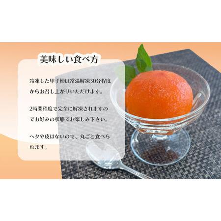 fn-71-001 ゆういち農園の甲子柿 6個入り 【加工品】 岩手県釜石市