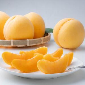 ふるさと納税 2026年  ご家庭用 岡山県産 黄金 桃 1.5kg（5〜6玉） ｜ 桃 岡山県岡山市の画像