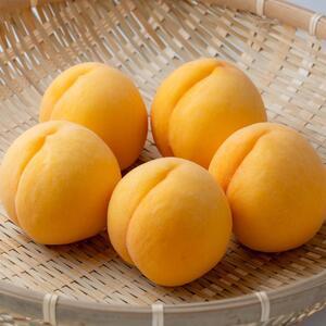 ふるさと納税 2026年  ご家庭用 岡山県産 黄金 桃 1.5kg（5〜6玉） ｜ 桃 岡山県岡山市の画像