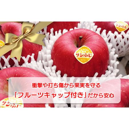 ふるさと納税 高橋りんご園 『サンふじ』3kg(8〜10玉) フルーツ