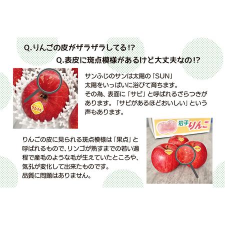 ふるさと納税 高橋りんご園 『サンふじ』3kg(8〜10玉) フルーツ
