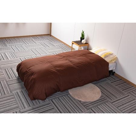 ふるさと納税 《生成》無地_羽毛掛ふとん ホワイトダックダウン85