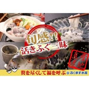 ふるさと納税 【重箱B】※トラフグ薄造り・鍋(4人前セット)  ふぐ専門店ふくます水産「博多の台所：福岡中央卸売市場」より直送 福岡県福岡市の画像