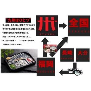 ふるさと納税 【重箱B】※トラフグ薄造り・鍋(4人前セット)  ふぐ専門店ふくます水産「博多の台所：福岡中央卸売市場」より直送 福岡県福岡市の画像