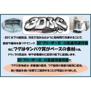 ふるさと納税 【重箱B】※トラフグ薄造り・鍋(4人前セット)  ふぐ専門店ふくます水産「博多の台所：福岡中央卸売市場」より直送 福岡県福岡市の画像