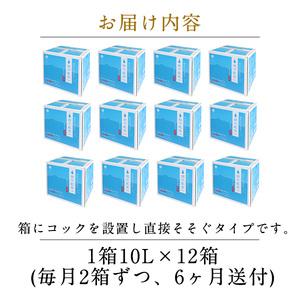 ふるさと納税 K-493 ＜定期便・全6回＞関平鉱泉水10L×2箱ずつお届け(計12箱)【関平鉱泉所】霧島市 シリカ シリカ水 水 シリカミネラルウ.. 鹿児島県霧島市_4
