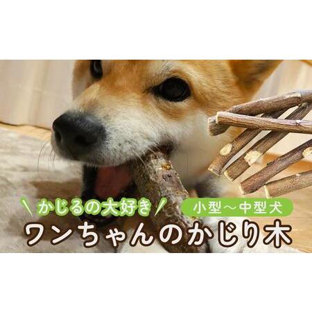 ふるさと納税 かじるの大好き ワンちゃんのかじり木(小型〜中型犬) | 犬 おもちゃ 長野県大町市