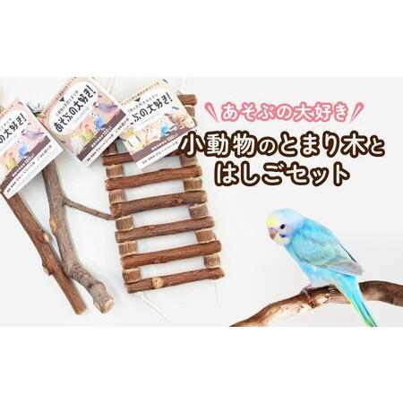 ふるさと納税 あそぶの大好き 小動物のとまり木とはしごセット | ペット ハムスター 小鳥 おもちゃ 長野県大町市
