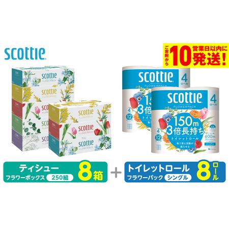 ふるさと納税 スコッティ 組み合わせ トイレットペーパー シングル 8ロール ティッシュ 250組 8箱 トイレットロール ティシュー 熊本県八代市