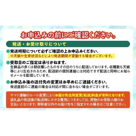 ふるさと納税 【令和8年発送】山菜 オオバギボウシの花 500g グレイスファーム 山形県鶴岡市の画像
