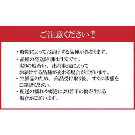 ふるさと納税 【先行予約】さぬき市の白桃 約2kg 9月発送 品種おまかせ もも 桃 白桃 白鳳 あかつき 清水白桃 なつおとめ 川中島白桃 まどか .. 香川県さぬき市の画像