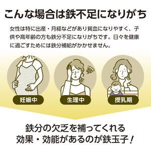 鉄分補給にオススメ！ 南部鉄器 鉄玉子 薄型5個セット 【ジークレー】 [BE008] 岩手県奥州市