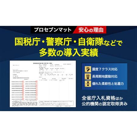 ふるさと納税 TV耐震セットLL 震度7クラス対応 液晶テレビの転倒防止! ベルトストッパー テレビ用 LLサイズ 100V型まで対応 ＋「耐震マット」20x.. 長崎県大村市の画像
